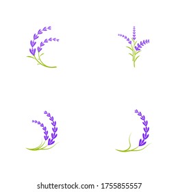 Lavender flower Vector icon illustration design Template