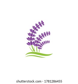 Lavender flower Vector icon illustration design Template