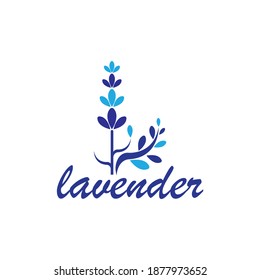 Lavender flower Vector icon illustration design Template
