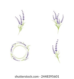Lavender flower Vector icon illustration design Template