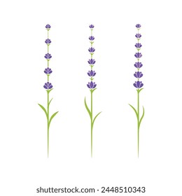 Lavendelblume Vektorgrafik Icon Illustration Design Vorlage