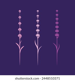 Lavendelblume Vektorgrafik Icon Illustration Design Vorlage