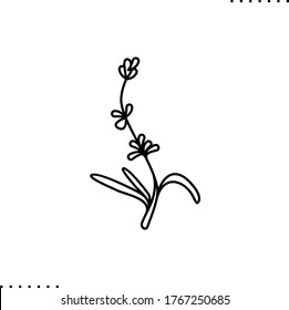 Lavender flower vector icon in outlines 