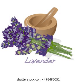 Lavender flower vector isolated.