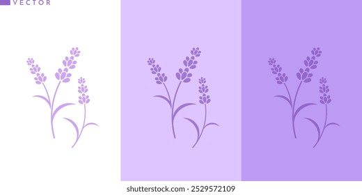Vector de flor de lavanda. Lavanda aislada sobre fondo blanco. Ilustración de flor púrpura
