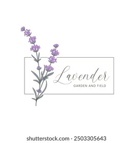 Vektor-Logo der Lavendelblume. Blumendesign-Etikett