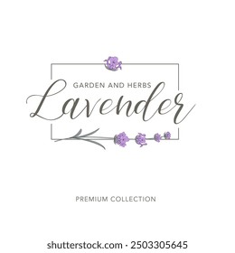 Vektor-Logo der Lavendelblume. Blumendesign-Etikett