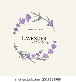 Logotipo de Vector de flor de lavanda. Etiqueta de diseño floral