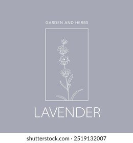 Logotipo de Vector de flor de lavanda. Etiqueta de diseño floral