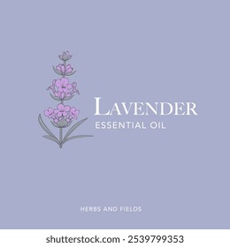 Lavender flower vector logo. Floral design label