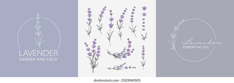 Lavender flower vector logo set . Floral design label