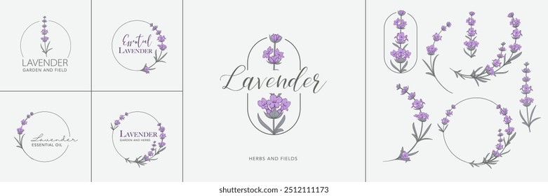 Conjunto de logotipo de Vector de flor de lavanda . Etiqueta de diseño floral