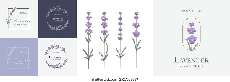 Conjunto de logotipo de Vector de flor de lavanda . Etiqueta de diseño floral