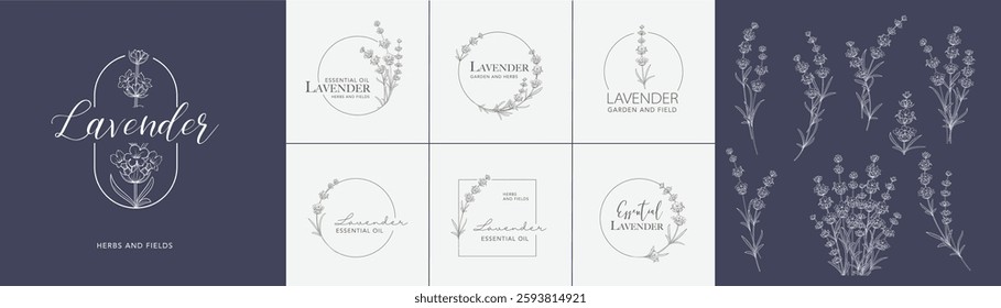 Conjunto de logotipo de Vector de flor de lavanda . Etiqueta de diseño floral