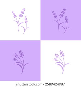 Lavender flower vector. Purple flower illustration. Isolated lavender on white and purple background