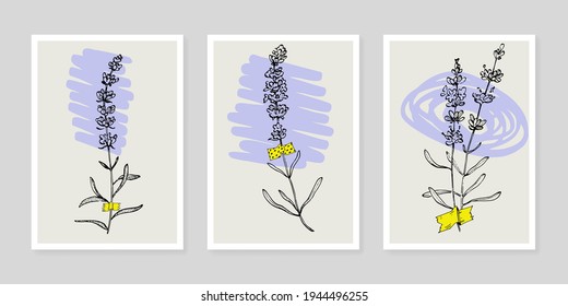 Lavender flower wall art plant set. Foliage of nature line art drawing with abstract shape. Modern Abstract Plant Art design for print, cover, wallpaper, illustration with decor wall art.