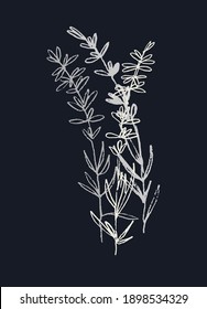 22,297 Lavender Flowers Black Background Images, Stock Photos & Vectors ...