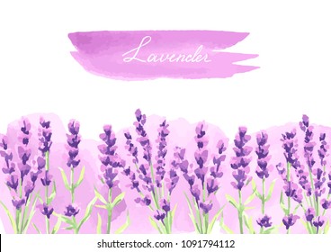 Lavender flowers background design. Watercolor natural illustration of Provence herbs.