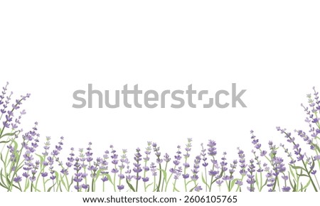 Lavender flowers background. Outlined Provence floral herbs with blooms. Vintage botanical drawing of French field Lavandula. Blossomed lavander. Hand-drawn vector illustrations  Stock photo © 