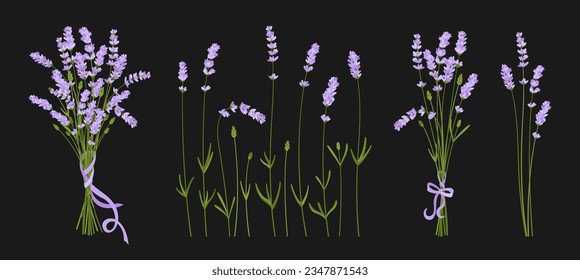 Ramo de flores de lavanda, conjunto de diseño de hierbas. Hierba de bodas dibujada a mano y elegante colección de hojas. Verdor abstracto botánico-rústico de moda para postales de invitación, afiche de fondo oscuro