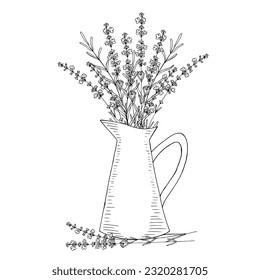 Lavender flowers branch in a jug, vector floral hand drawn black sketch isolated elements for design on white background