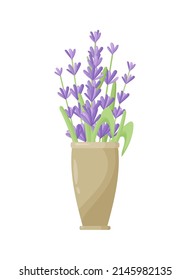 Lavender flowers in a ceramic pot. Vector illustration of lavender blooming in a modern style. Indoor plants in a clay pot. Gardening.