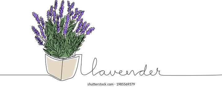 Lavender Flowers In Continuous Line Drawing With Handwritten Text. Modern Line Art. Vector Illustration.