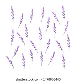 lavender flowers design vector illustration