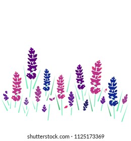 lavender flowers in a field isolated vector on a white background, summer, postcard