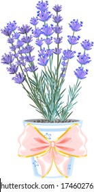 Lavender flowers in flowerpot