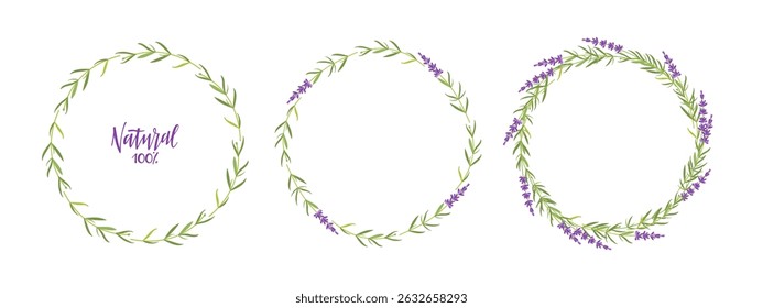 Molduras de flores de alfazema. Circular grinaldas de lavanda com Natural 100 por cento. Grama de lavanda vetorial Ilustração. Flores e galhos verdes borderы para inscrições, logotipo, embalagem, vendas, publicidade