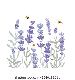Lavender flowers and honey bees isolated composition. Hand drawn vector illustration.