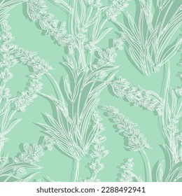 lavender flowers illustration with lavender and seamless pattern background. Seamless pattern for fabric, paper and other printing and web projects.