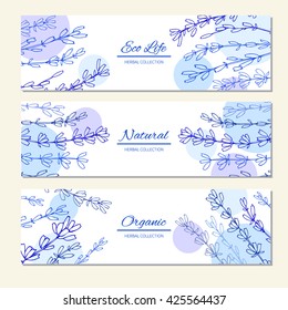 Lavender flowers isolated on a white, horizontal banners, labels, hand drawn doodle vector sketch herbal vintage graphic engraving collection for cards, stickers, invitation, wedding design, cosmetic