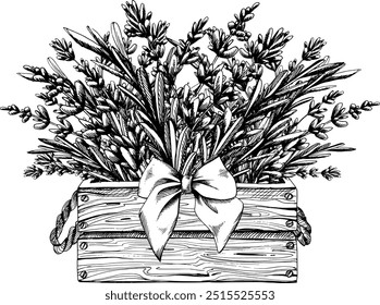 Flores y hojas de lavanda, ramitas recogidas en un ramo en una caja de madera, decorada con un lazo. Ilustración dibujada a mano línea gráfica de arte de tinta en blanco y negro. Disposición de sublimación.