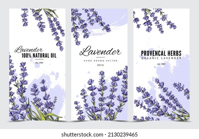 Lavender flowers and natural oil posters set in hand drawn sketch style, vector illustration. Collection of floral flyers or brochures with provence herbs and bouquets.