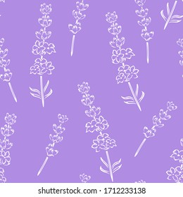 Las flores de lavanda se dibujan de forma transparente. Simple ilustración monocromática vectorial de hermosa flor primaveral. Fondo morado floral.