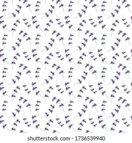 Lavender flowers pattern provance style. Vector stock illustration for print industry, packaging paper, bag, stationary. EPS10