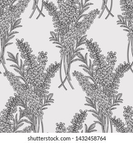 Lavender flowers seamless pattern. Black and white graphic. Vector illustration vintage.