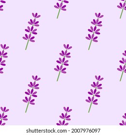 Lavender  flowers seamless pattern. Floral lavender purple background. Vector illustration.