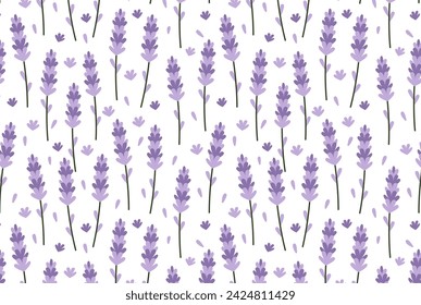 Patrón sin fisuras de flores de lavanda sobre fondo blanco. Papel pintado Provence herbs. Planta medicinal para dormir y relajar. Ingrediente de aroma de remedio natural y perfume