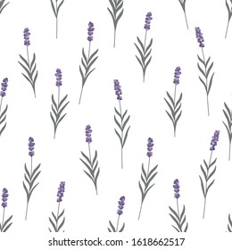 Lavender flowers seamless pattern. Trendy minimalist rustic style. White background. Pastel colors. Can be used for textile, wrapping paper, invitation, wallpaper. Vector illustration