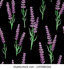 Lavender flowers seamless pattern. Vector illustration. Black background