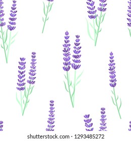 Lavender flowers seamless pattern. Vector illustration. White background