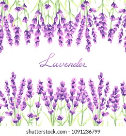 Lavender flowers seamless pattern. Watercolor natural illustration of Provence herbs.