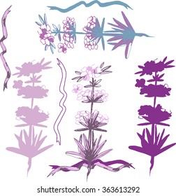 Lavender flowers with silhouette. Vector isolated illustration for wedding and cosmetic design.