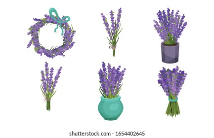 Lavender Flowers in Vase and Flowerpot Vector Set