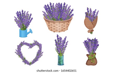 Lavender Flowers in Vase and Wicker Basket Vector Set