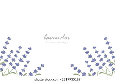 Fondo de ilustración vectorial de flores de lavanda