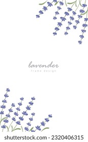 Lavender flowers vector illustration background